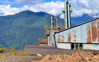 Builiding a roadmap for the wood-based economy sector in Bhutan