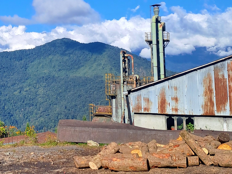 Builiding a roadmap for the wood-based economy sector in Bhutan