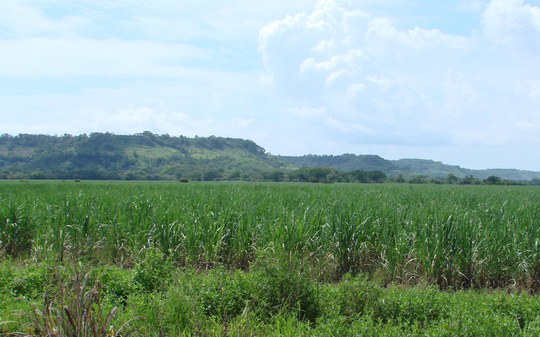 Software for Climate Change and Land Use Planning in Costa Rica
