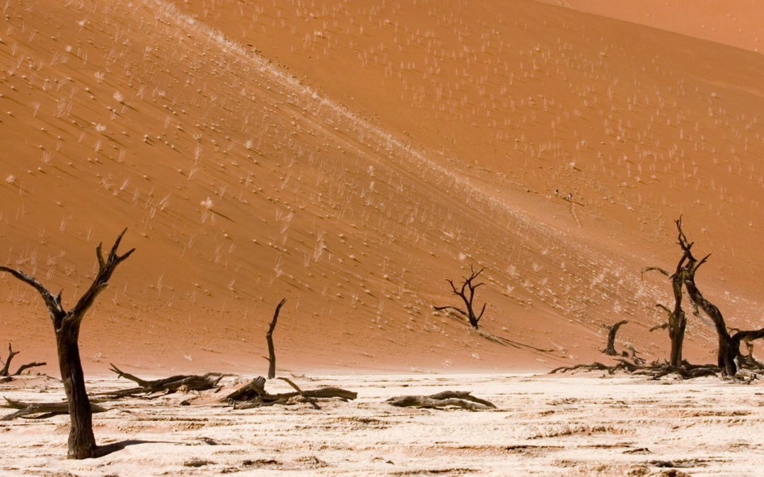 Reducing Climate Risk from Energy Investment in Namibia